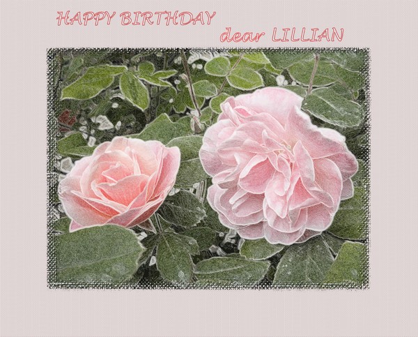 For LILLIAN