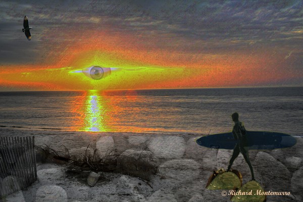 SUNSET SURFER