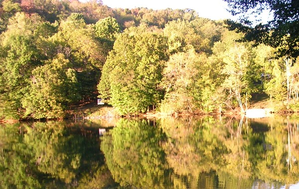 Reflecting on Nature