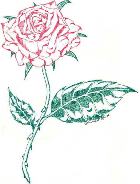 rosa filipinensis (pointilism)