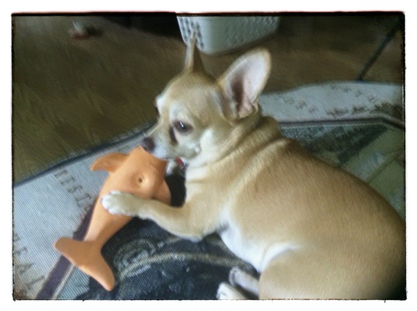 Tanner playing