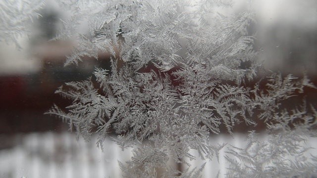 Ice Crystals on a storm door
