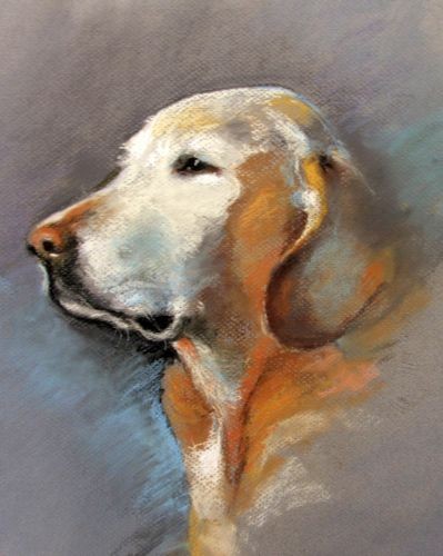 Old_dog