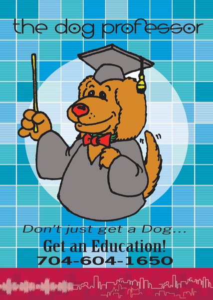 Dog Professor Web Ad