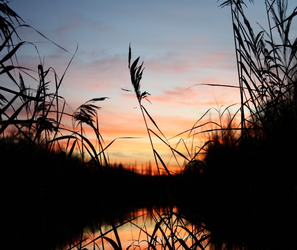 November Sunset