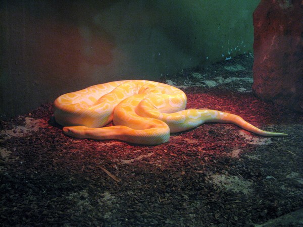 IMG 2688 resize