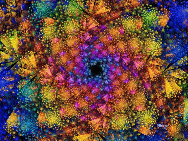 We Dream in Color