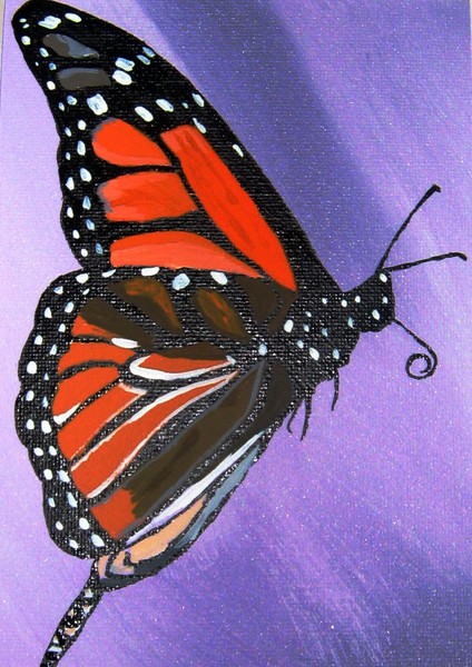 Monarch Butterfly