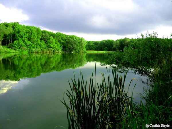 Still Waters