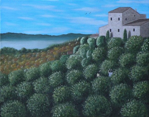 Olive Orchard
