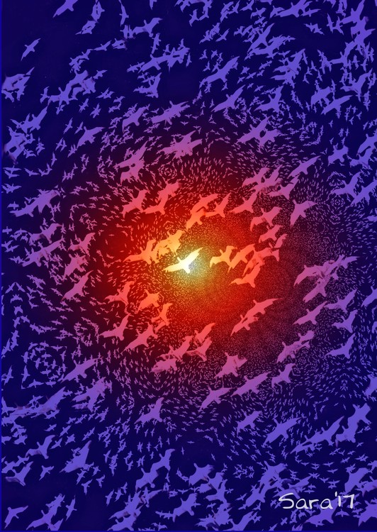 Migration 4