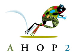 Ahop2: Top 35 Portfolios