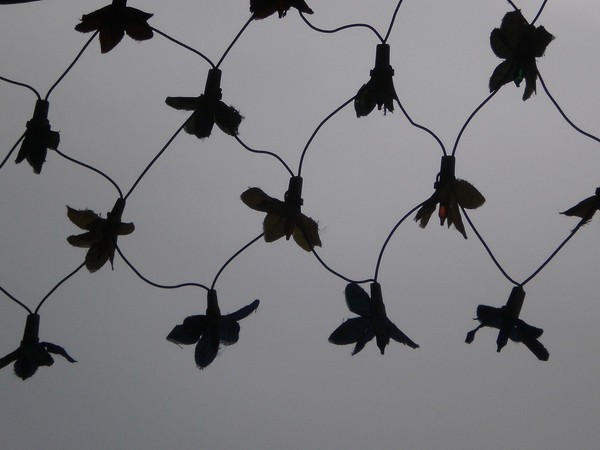 twinkle twinkle...