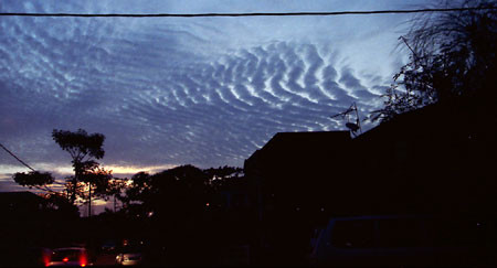 one morning front of my house