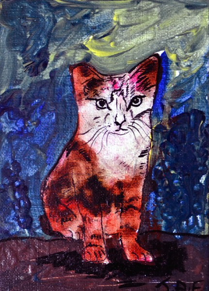 Hugo Sweet Cat