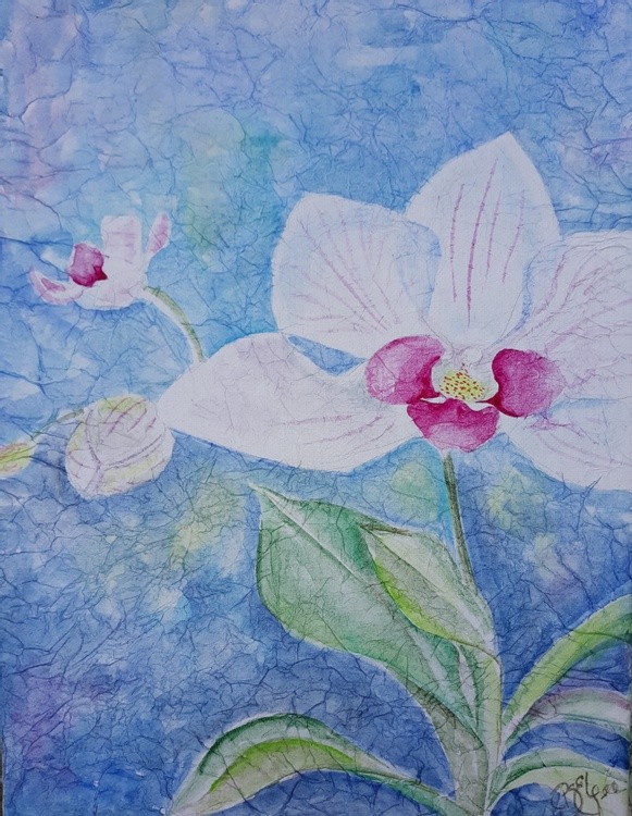 Orchid