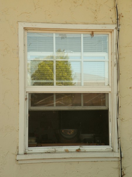 Orchard Street Window
