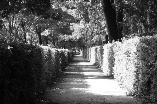 Pathway