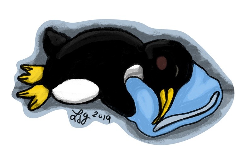 nappeng25