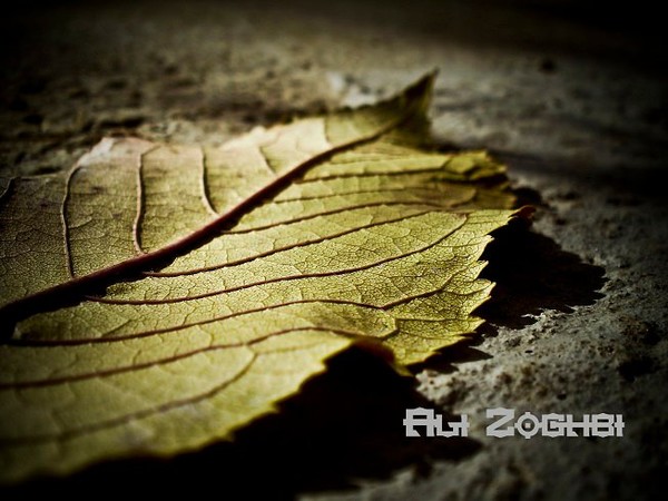 the end