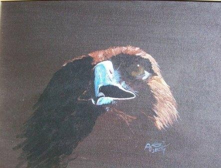Brown Eagle