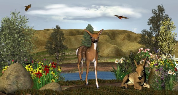 Deer In Need