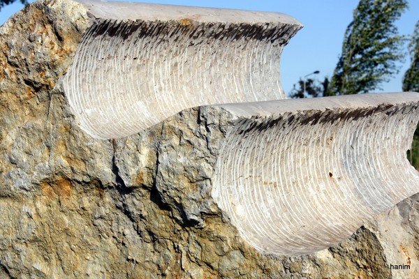 stone waves