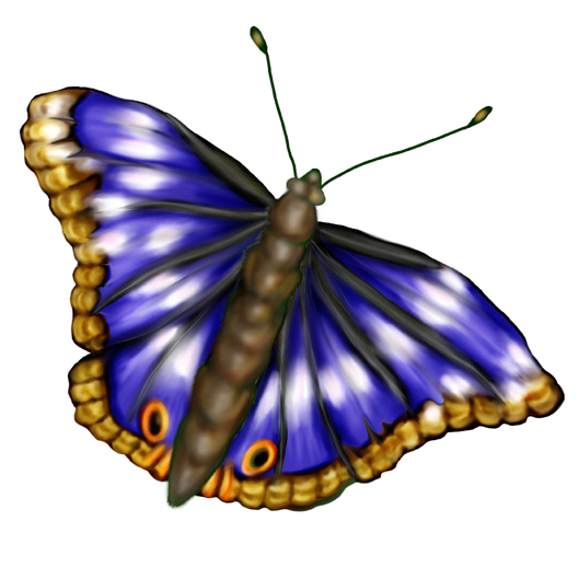 Purple Emperor