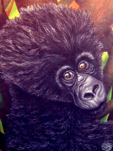Baby Gorilla