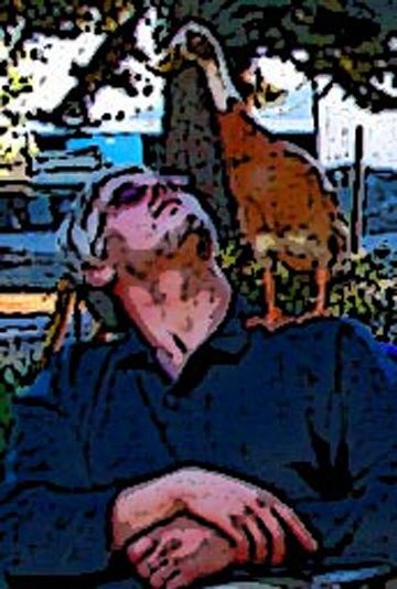 Holden w duck - Copy