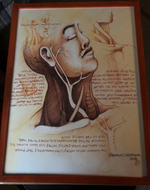 Cartoid framed (2)