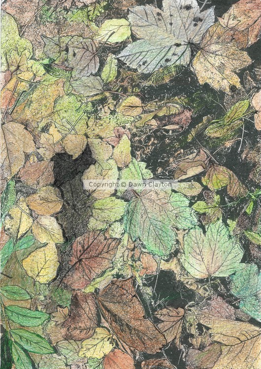 LEAVES