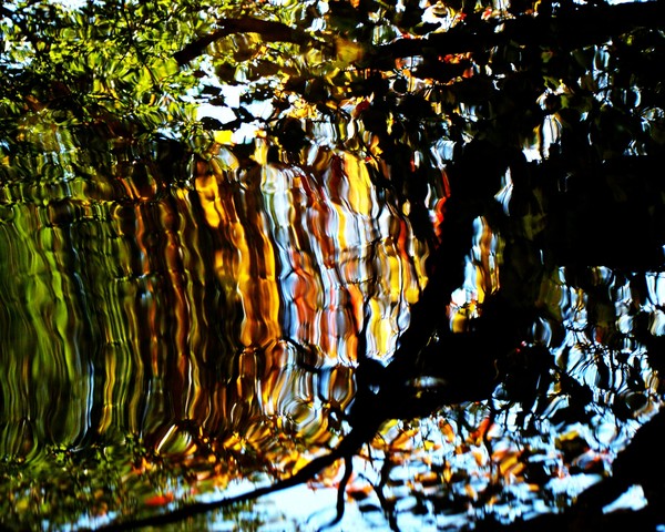 Waterslide 3119 11x14 Nat.Light/No Effects Added