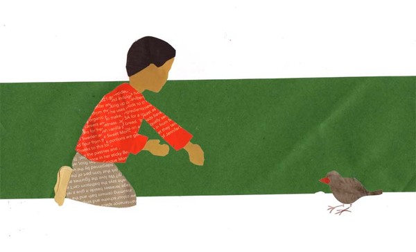 Befriending the birds