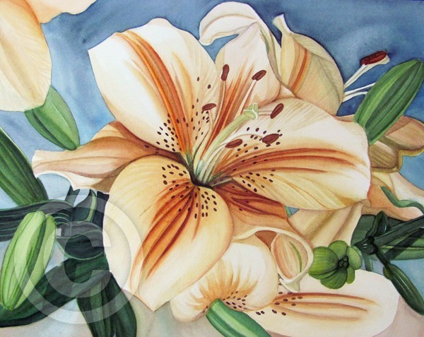 Early Spring Lily