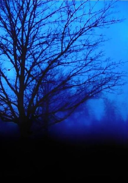 into the blue