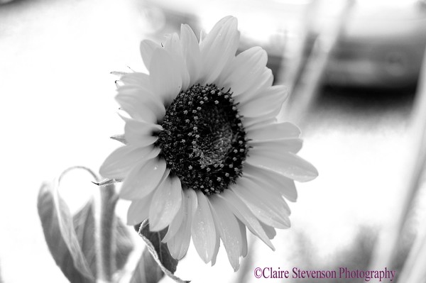 20110822 107
