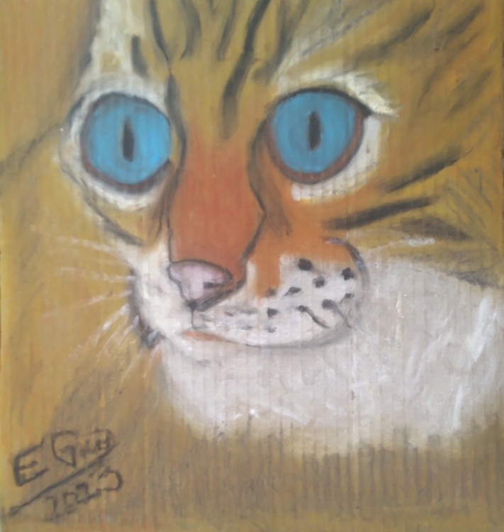 Awesome Blue-Eyed Cat
