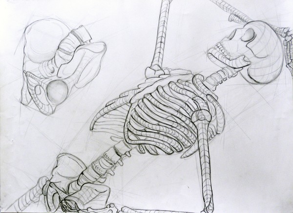 Skeleton