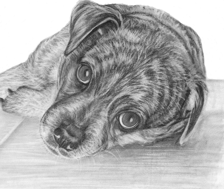 Sanchez