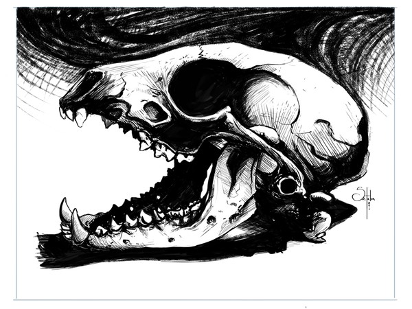 Skull
