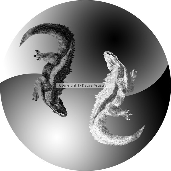 YingYang