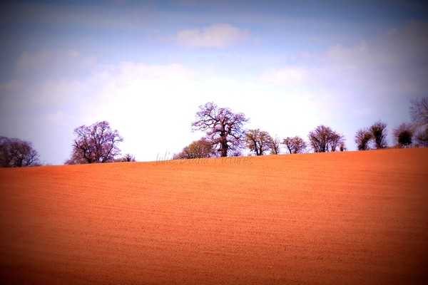 Hope On The Horizon