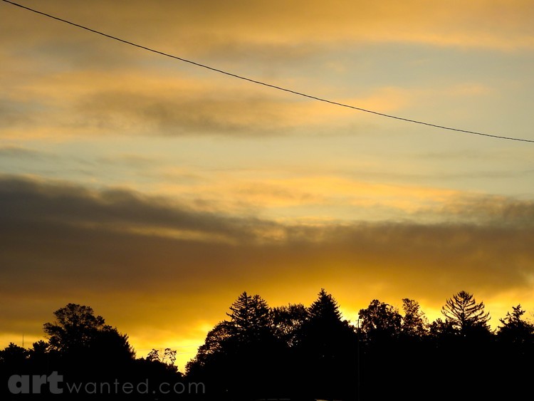 Autumn Morn