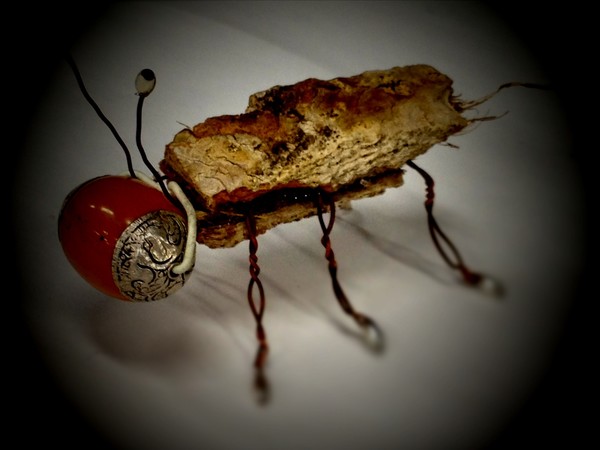 Joshua tree bug