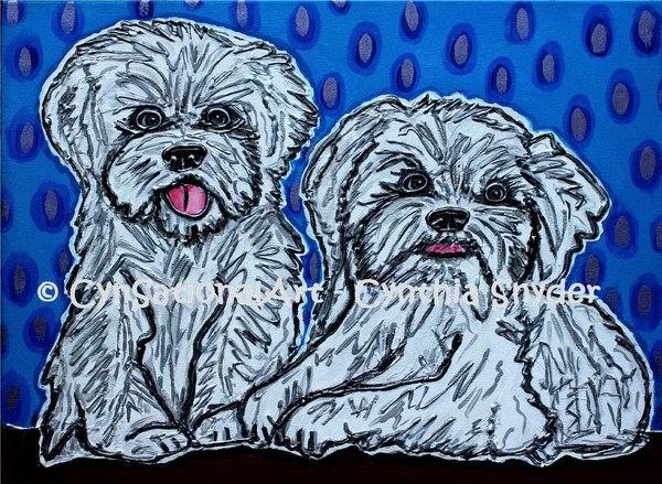 Maltese Duo