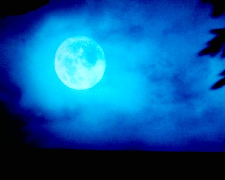 Moon