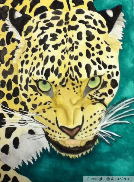 Leopard