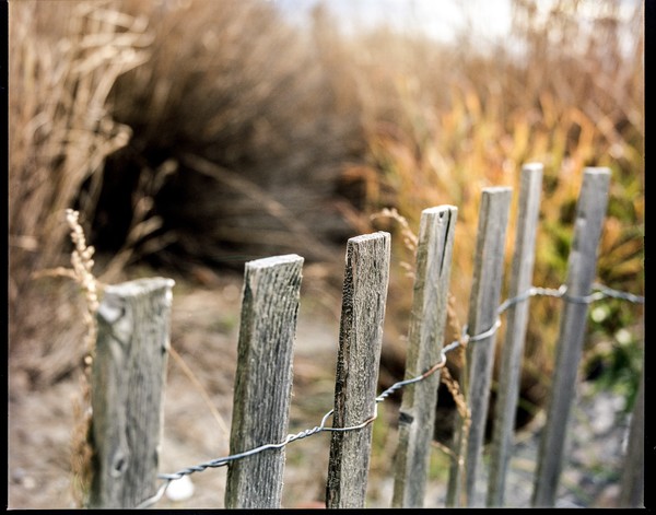 Beach Fence