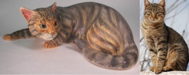 Tabby Cat